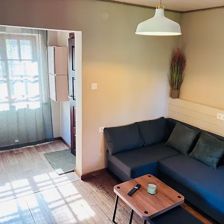 Apartment Vosula Tornimaja Vosu